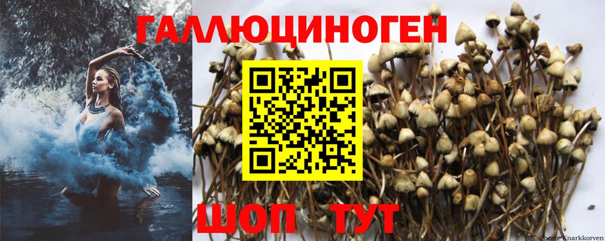 Псилоцибиновые грибы Magic Shrooms Наро-Фоминск